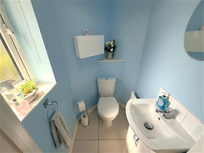 Picture 17